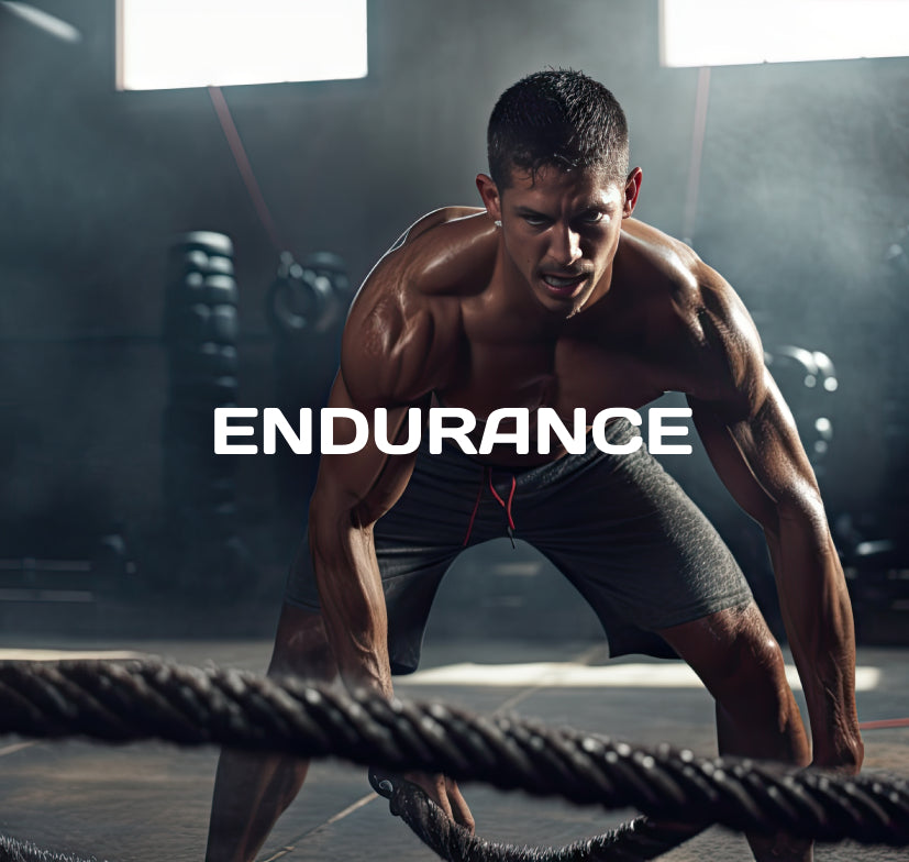 ENDURANCE